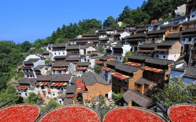 后疫情時代 鄉(xiāng)村旅游正快速恢復